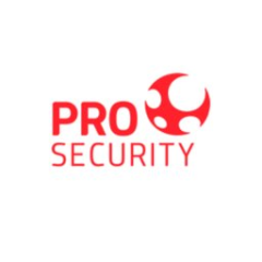 Grupo Pro Security