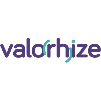 Valorhize Consultoria Empresarial